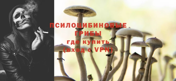 Альфа ПВП Коряжма